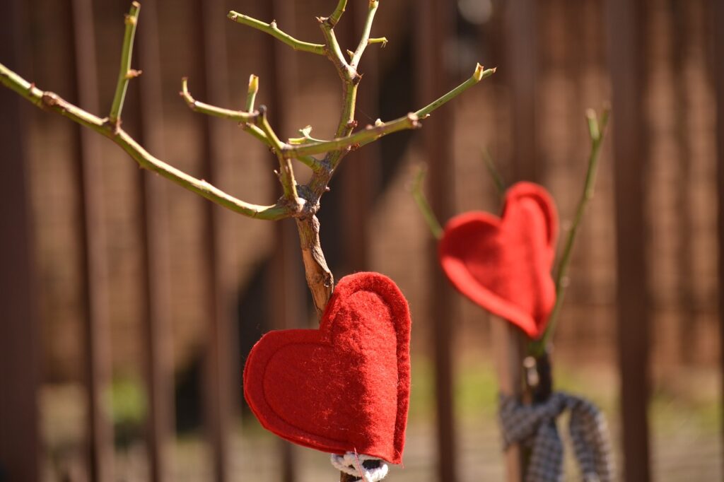 red hearts, decoration, rose tree-1723926.jpg